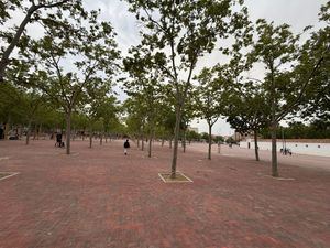 Manuel Serrano anuncia que ha concluido la segunda fase de las obras en los Ejidos de la Feria, y ya hay una zona de 10.000 metros cuadrados abierta a los ciudadanos