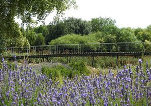 El Jardín Botánico de Castilla-La Mancha acogerá este domingo la firma de la adhesión al Pacto Verde Europeo