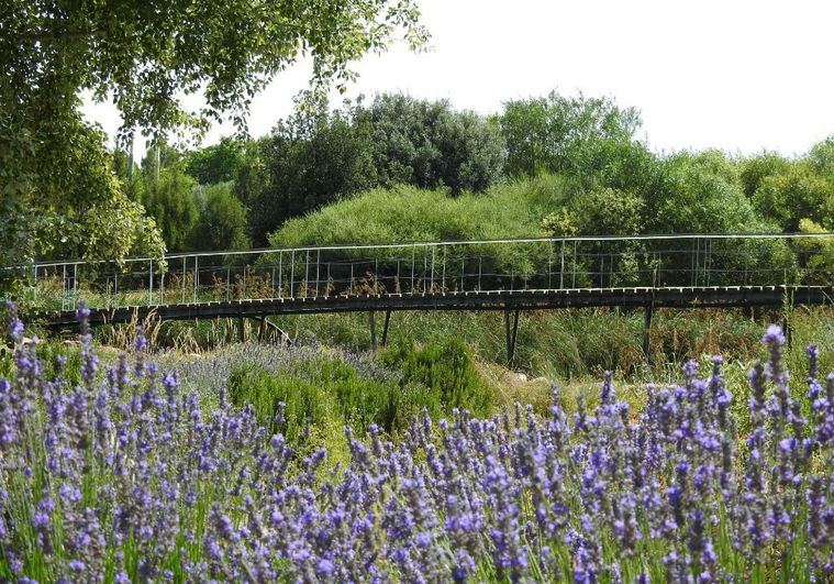 El Jardín Botánico de Castilla-La Mancha acogerá este domingo la firma de la adhesión al Pacto Verde Europeo