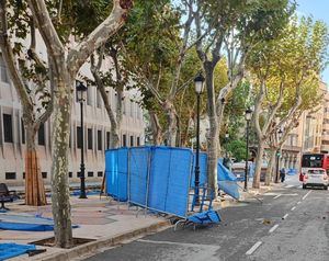 El fuerte viento provoca la caída de ramas árboles, vallas y cascotes en diversos lugares de la región