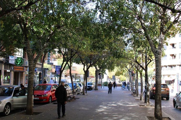 Rosa González de la Aleja: “El señor Sáez ha preferido amueblar, iluminar y climatizar su despacho en lugar de embellecer las calles de la ciudad y ayudar a los comerciantes en Navidad”