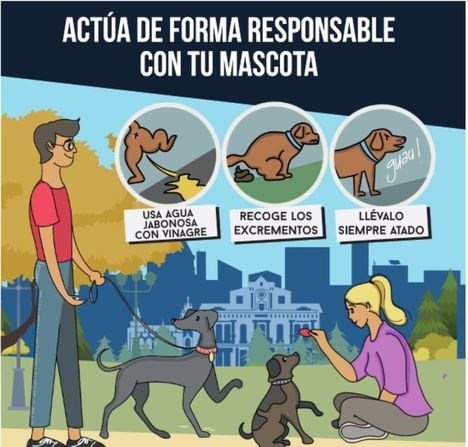 La campaña ‘Cuida Albacete’ pide responsabilidad a los dueños de mascotas con hincapié en la limpieza de excrementos y la obligación de llevarlos atados