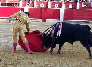 Toros.- Plazos para la renovación de los abonos y la venta de entradas de la Feria de Albacete