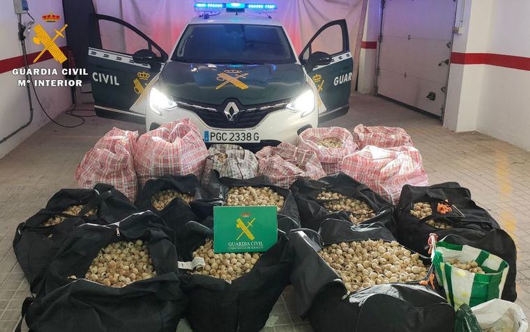 Sucesos.- Detienen a 16 personas e incautan 447 kilos de adormidera robada de plantaciones legales en Barrax y La Roda