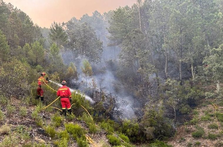 Incendios.- Los medios aéreos dejan el incendio de Sevilleja que rebaja los efectivos a 32 personas y 7 terrestres