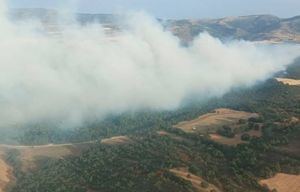 Incendios.- Más de 130 efectivos de la UME se unen a las labores de extinción del fuego de Jumilla que afecta a Castilla-La Mancha