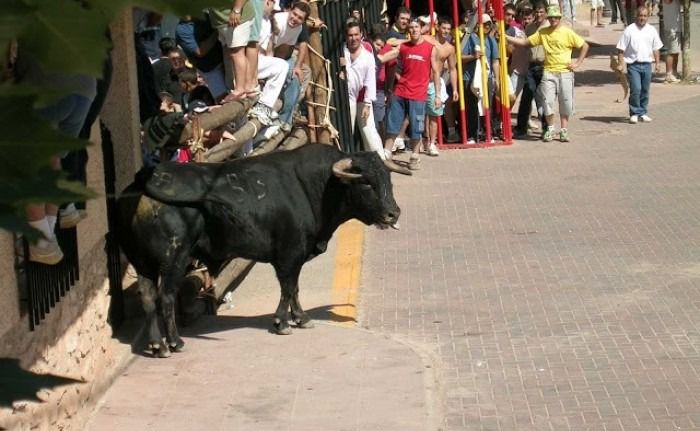 Sucesos.- Trasladan a un joven al hospital tras sufrir una cornada en un festejo taurino en Riópar (Albacete)