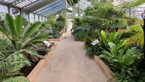El patronato del Jardín Botánico de Castilla-La Mancha aprueba un presupuesto de casi 511.000 euros para 2023