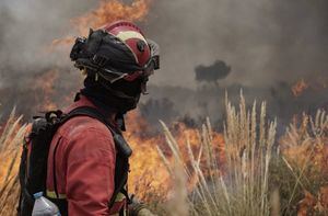 Castilla-La Mancha reforzará el dispositivo contra incendios desde este sábado y aprueba 2,4 millones para regenerar montes afectados