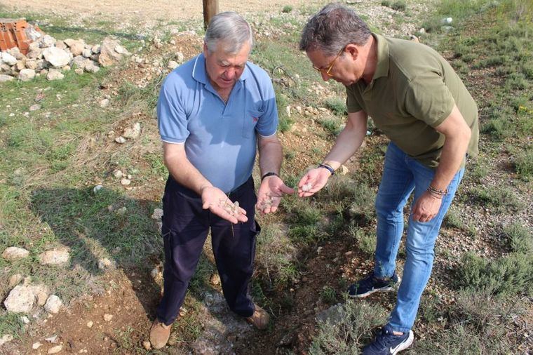 Antonio Martínez, alcalde de Mahora, traslada su compromiso con los agricultores afectados por la tormenta de granizo que ha arrasado las cosechas de Bormate