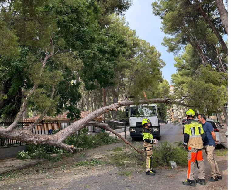 El Ayuntamiento cierra los parques ante las fuertes rachas de viento que se están produciendo en Albacete 