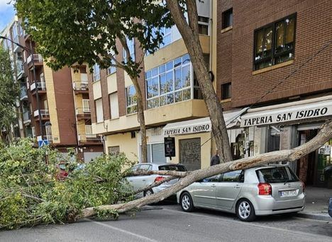 Temporal.- Castilla-La Mancha acumula 333 incidencias por fuertes rachas de viento