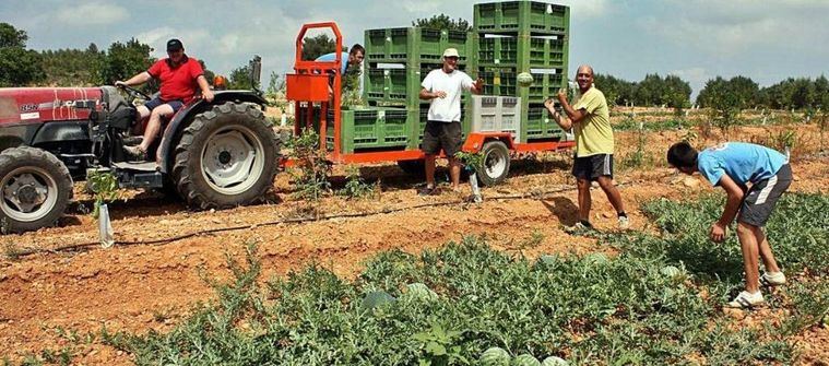 El PSOE pide la convocatoria 'urgente' del Consejo Municipal de Inmigración ante la llegada de temporeros a Albacete