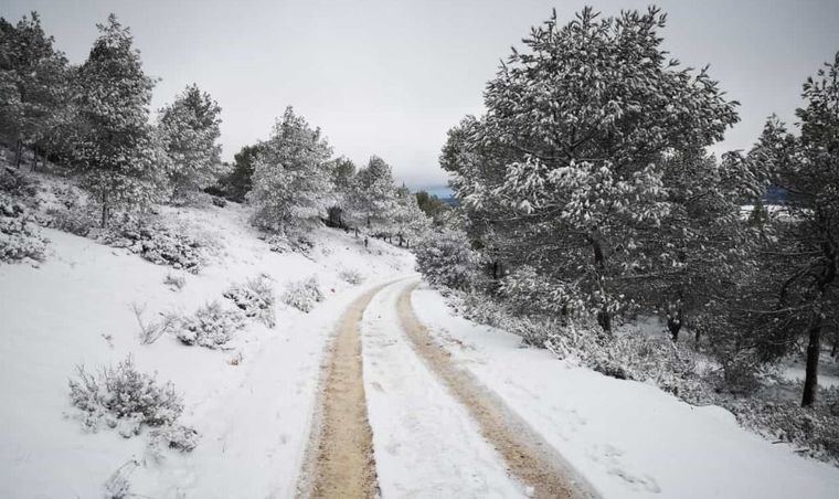 Diputación de Albacete activa un nuevo operativo para limpiar las carreteras de la provincia de nieve y hielo