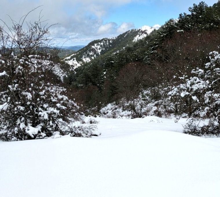 Previsión meteorológica para este domingo en Castilla-La Mancha: temperaturas muy frias y posibles nevadas
