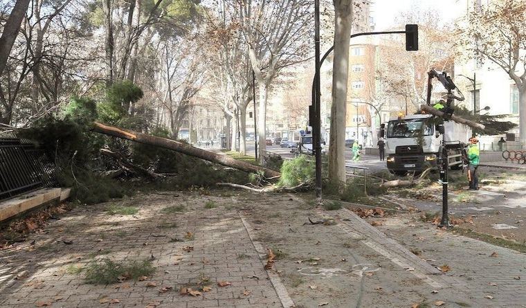 El alcalde de Albacete pide a la ciudadanía que siga extremando las precauciones ante el temporal de viento