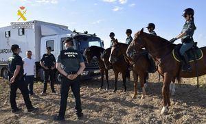 La Guardia Civil de Albacete refuerza el operativo de la campaña de recogida del ajo con el Grupo de Caballería