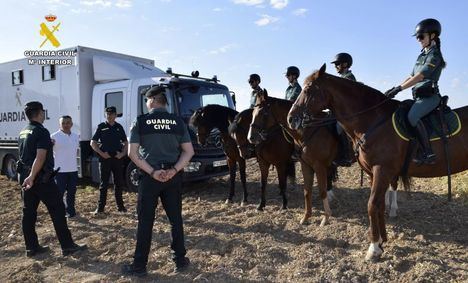 La Guardia Civil de Albacete refuerza el operativo de la campaña de recogida del ajo con el Grupo de Caballería