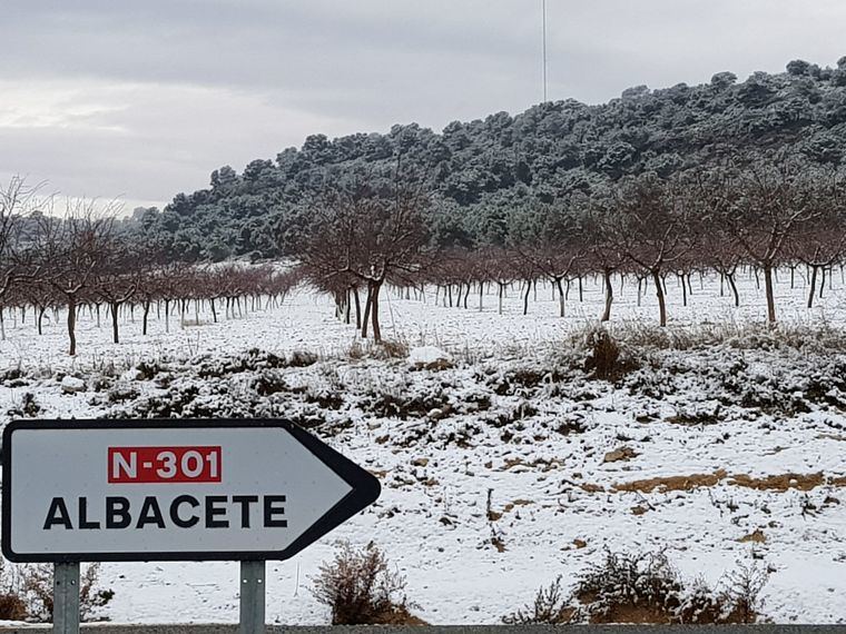Mucha nieve en la provincia de Albacete, así como en otras zonas de la región
