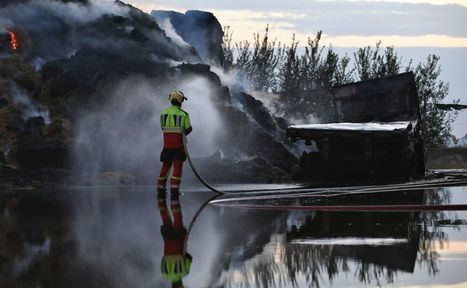 Page pide 'prudencia' y 'humildad' ante los incendios: 'La naturaleza cuando se lo propone hace mucho daño'