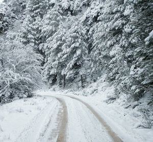 Lluvia, nieve y frío mantienen en situación de riesgo a una decena de provincia esta Navidad
