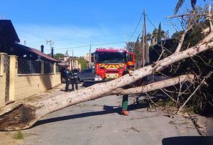 Los bomberos de la Diputación de Albacete realizan más de 30 intervenciones por los efectos de las fuertes rachas de viento provocadas por la borrasca Kristin