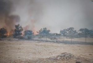 El incendio de La Mierla arrasa 13.000 hectáreas y obliga a evacuar 21 pueblos en Guadalajara
