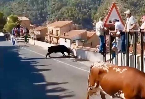 Fallece una mujer de 64 años en un encierro en Ayna (Albacete) herida por asta de toro