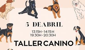 El Ayuntamiento va a llevar a cabo un taller gratuito de educación canina, que se desarrollará en el recinto de esparcimiento canino en el barrio de Medicina