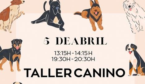 El Ayuntamiento va a llevar a cabo un taller gratuito de educación canina, que se desarrollará en el recinto de esparcimiento canino en el barrio de Medicina