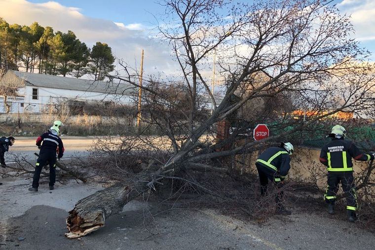 Debido al fuerte viento registrado este jueves en Albacete, se han producido varios incidentes