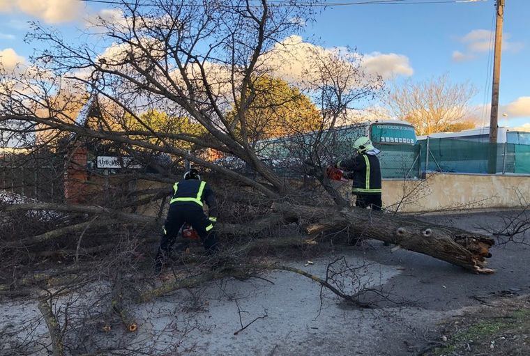 Debido al fuerte viento registrado este jueves en Albacete, se han producido varios incidentes