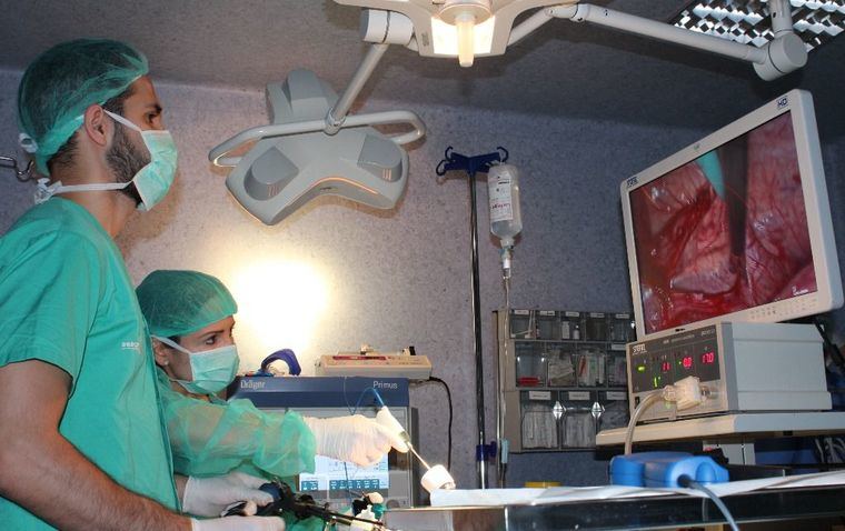 Residentes y adjuntos de Urología participan en un curso de adiestramiento para perfeccionar técnicas de cirugía laparoscópica