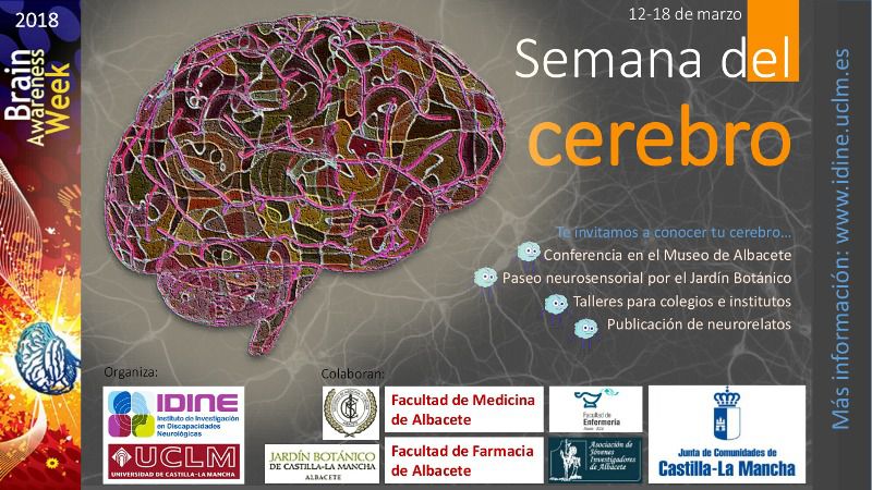 El IDINE y la Facultad de Medicina de Albacete celebran del 12 al 16 de marzo la Semana del Celebro 2018