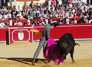 Casi llena la Plaza de Toros de Albacete en el festival del Cotolengo en un gran homenaje a Dámaso González