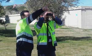 Aguas de Albacete celebra el Día Mundial de la Biodiversidad con 300 observaciones de 20 especies distintas de aves