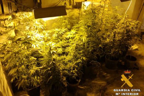 La Guardia Civil de Albacete detiene a cuatro personas e interviene 35 kilos de marihuana