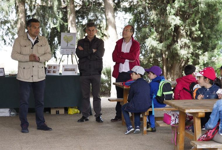 El Gobierno regional destinará una ayuda extraordinaria de un millón de euros para paliar los efectos de las tormentas en la provincia de Albacete