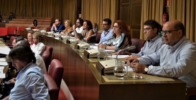 Aprobadas las mociones del PSOE para poner en marcha el programa mujer y deporte y que Albacete se sume al Año Europeo del Patrimonio Cultural