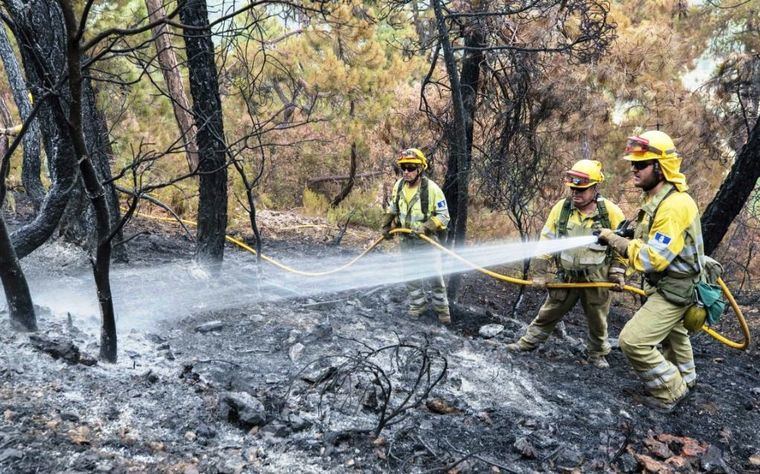 Controlado el incendio forestal que se ha declarado en el término de Yeste en Albacete