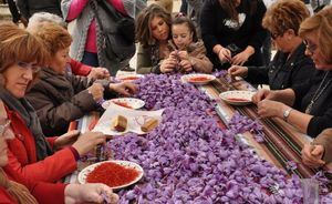 La pedanía albaceteña de Santa Ana celebra el XXXI Festival de la Rosa del Azafrán el 27 de octubre