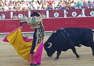 La Taurino Manchega solicita la segunda prórroga en Albacete para gestionar la Feria taurina de 2.019