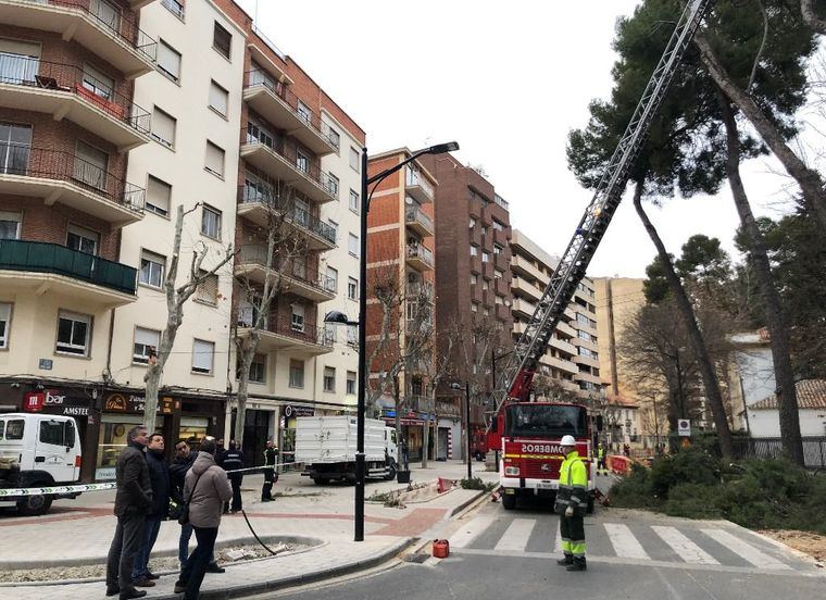 El alcalde de Albacete asegura que el Ayuntamiento está trabajando para garantizar la seguridad de las personas por la caída de un árbol en Simón Abril