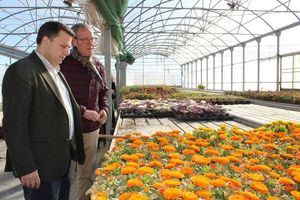 El 95% de la flor de temporada y ornamental de las zonas verdes de Albacete proceden del vivero de la Fundación Asla