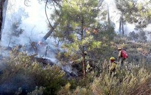 Un incendio forestal en Paterna del Madera (Albacete) obliga a desalojar a una familia en un cortijo