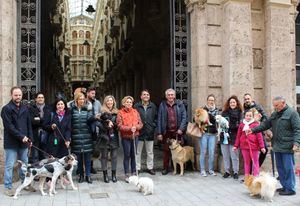 Ciudadanos endurecerá las penas para quienes abandonen, torturen o maltraten a animales