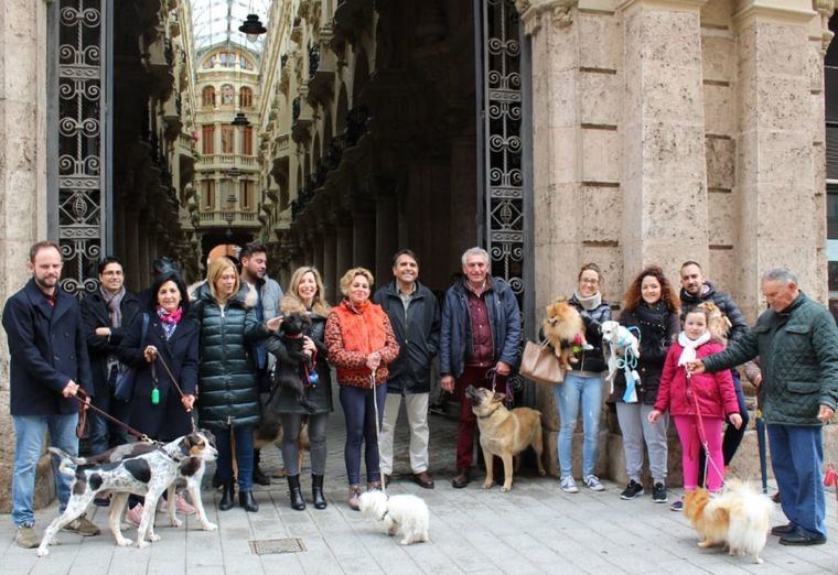 Ciudadanos endurecerá las penas para quienes abandonen, torturen o maltraten a animales