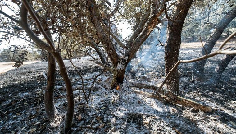 Dan por estabilizado el incendio forestal de Toledo capital