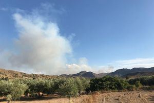 Doce medios, cinco de ellos aéreos, y 36 personas participan en los trabajos de extinción contra el fuego entre Albacete y Murcia