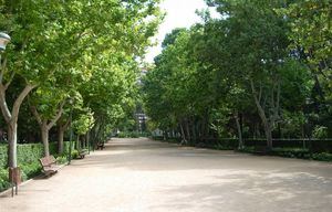 Los parques de la Fiesta del Árbol y Abelardo Sánchez en Albacete, se cerrarán mañana por fuertes rachas de viento